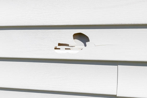 Best Composite Siding  in Hesperia, CA