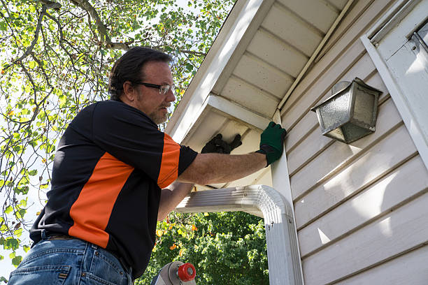 Best Residential Vinyl Siding Installation  in Hesperia, CA